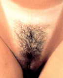 Leka
